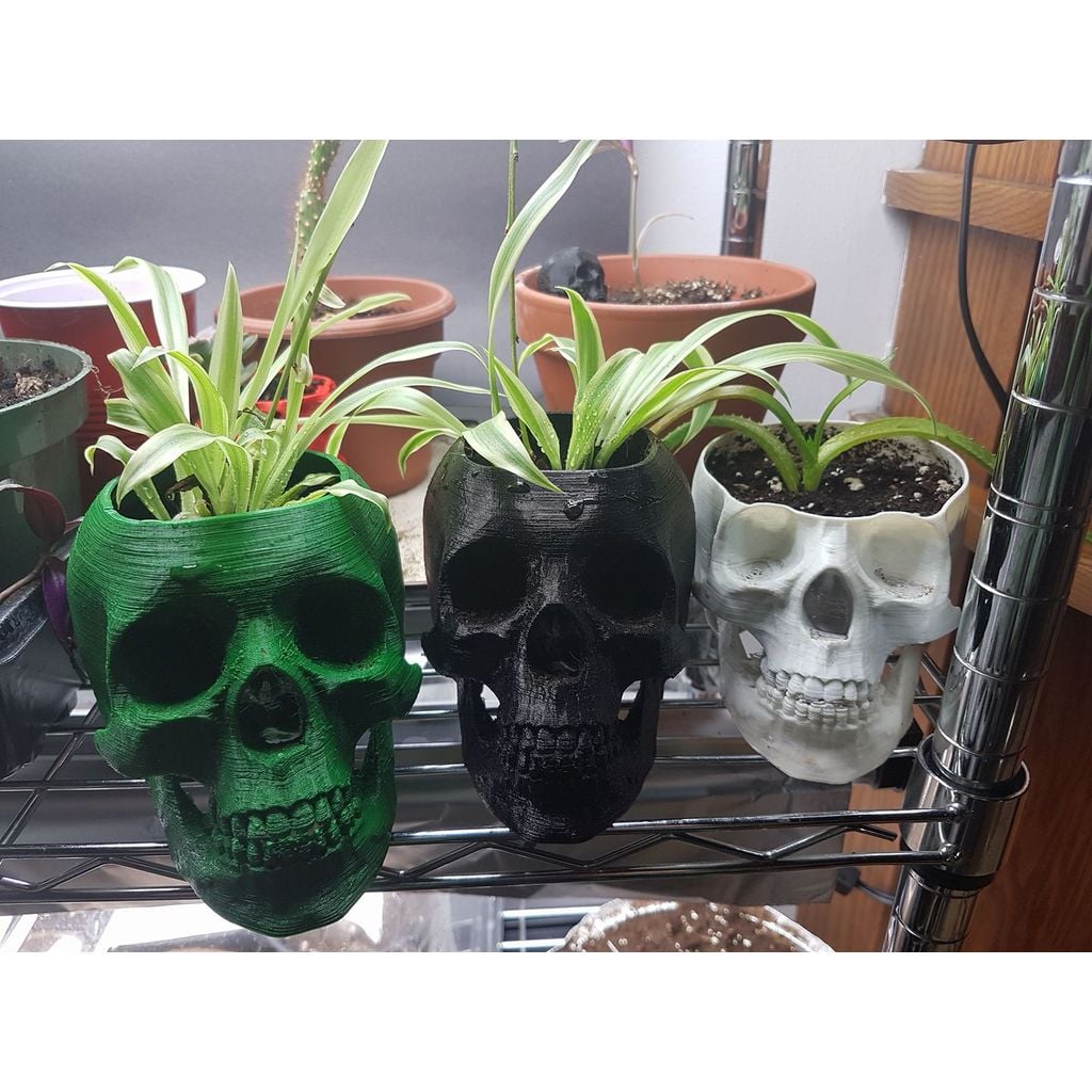 Skull pot preview