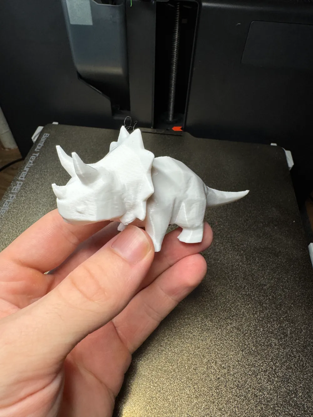 Dinosaur triceratops (free to sell!) gallery 3