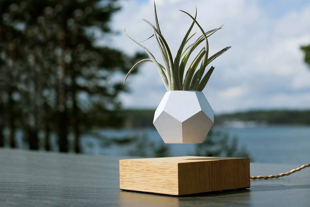 Levitating Planter preview