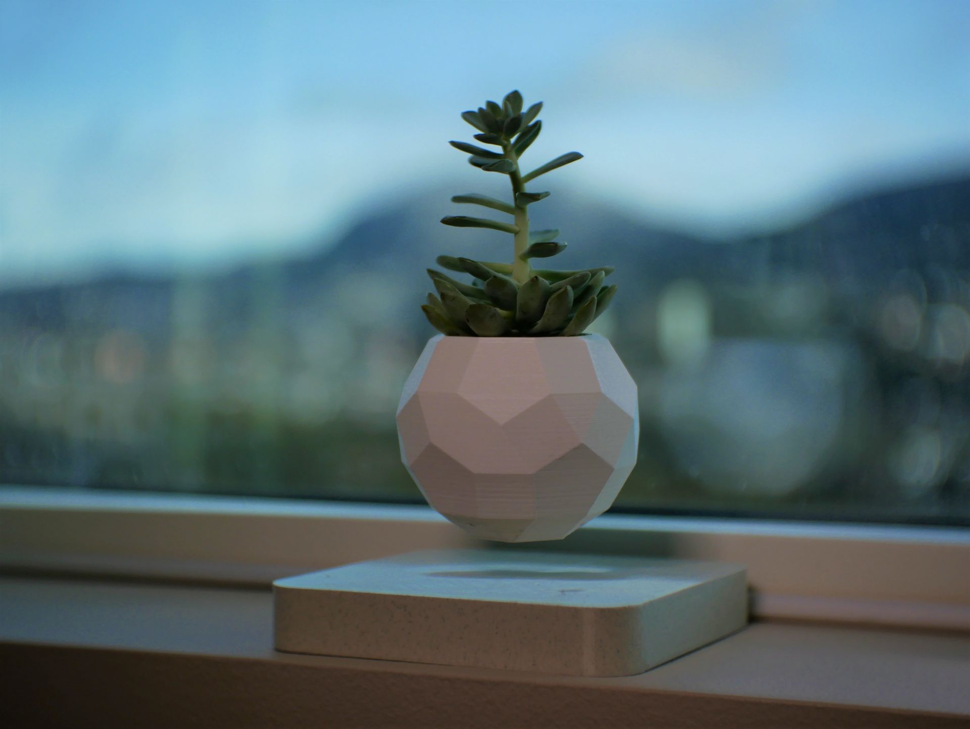 Levitating Planter preview