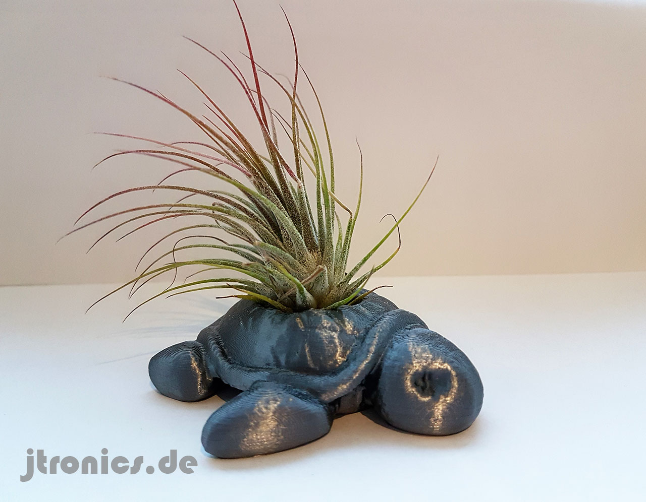 Succulent Planter Turtle preview