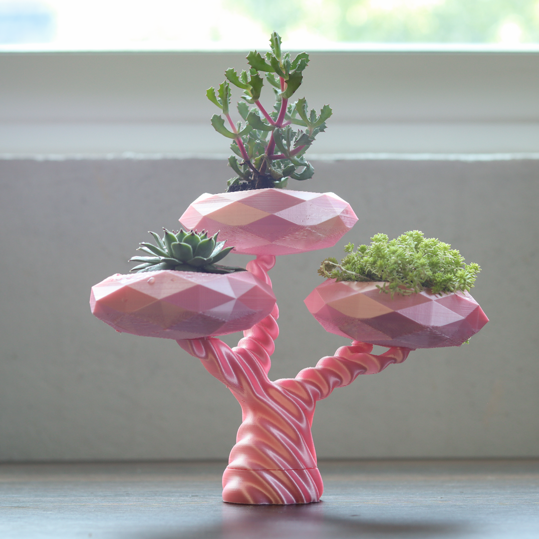 Planter Tiny Bonsai preview