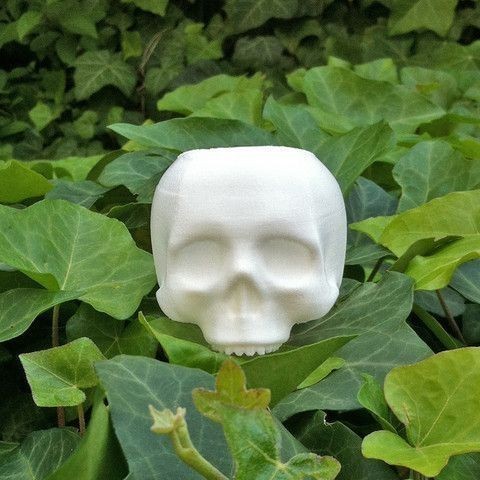 Skull Planter V3 - H80MM preview