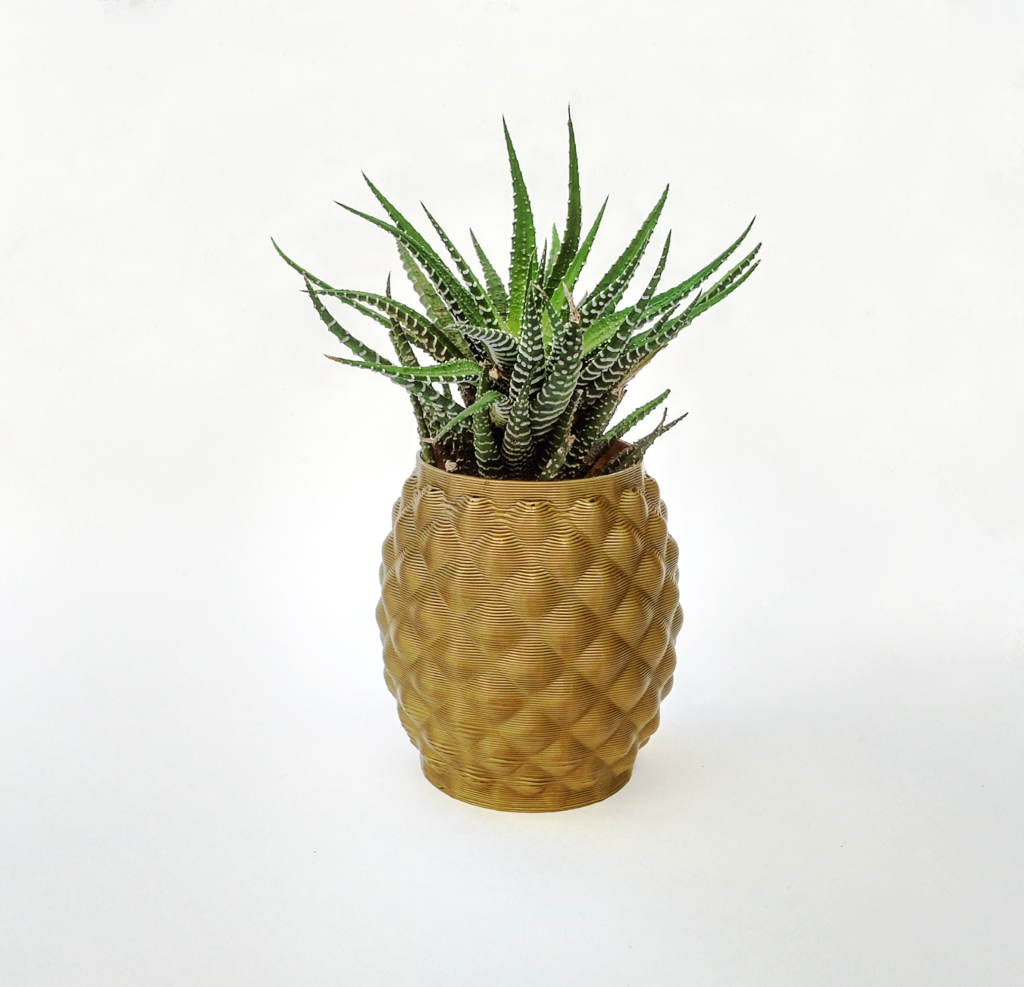 Pineapple planter preview